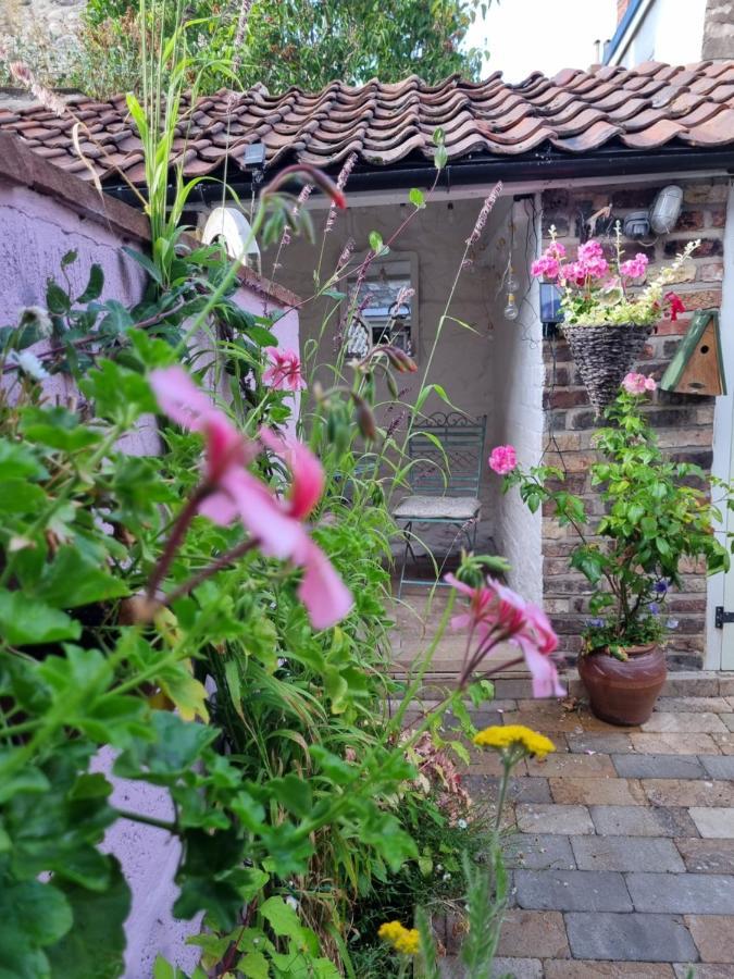 Bluebird Cottage Pickering Ngoại thất bức ảnh